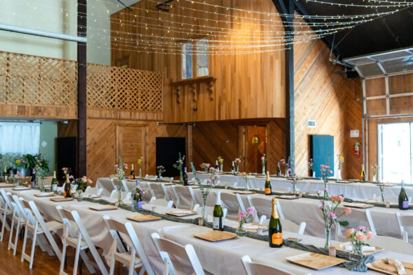 Duncan-wedding-247
